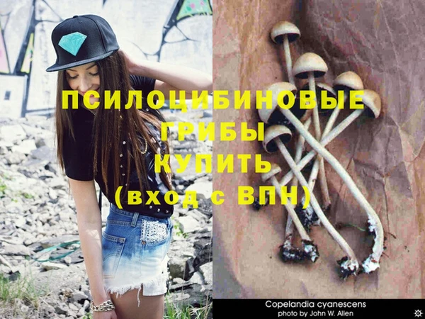 mdma Медногорск