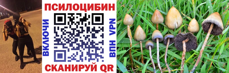 Галлюциногенные грибы GOLDEN TEACHER  купить наркотик  Морозовск 