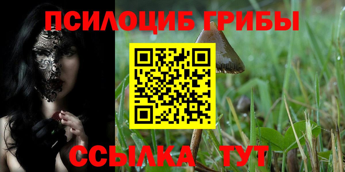 Галлюциногенные грибы GOLDEN TEACHER  Вход с VPN  Морозовск 