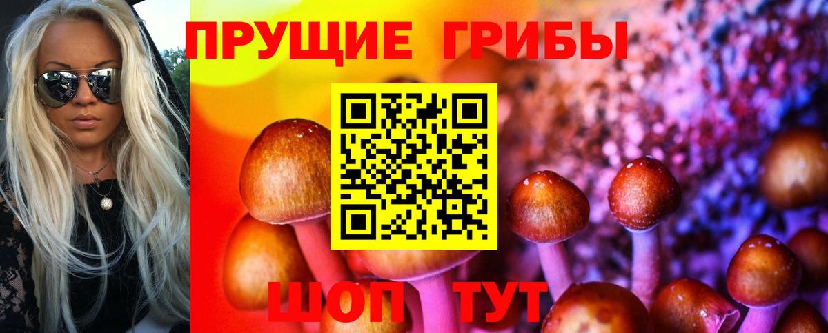 Галлюциногенные грибы Cubensis Морозовск