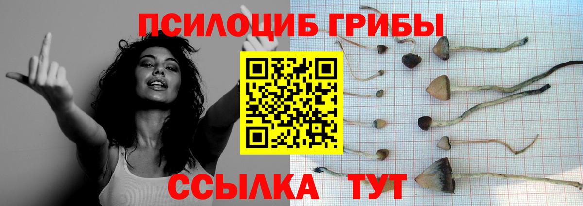 Галлюциногенные грибы Magic Shrooms  Морозовск 